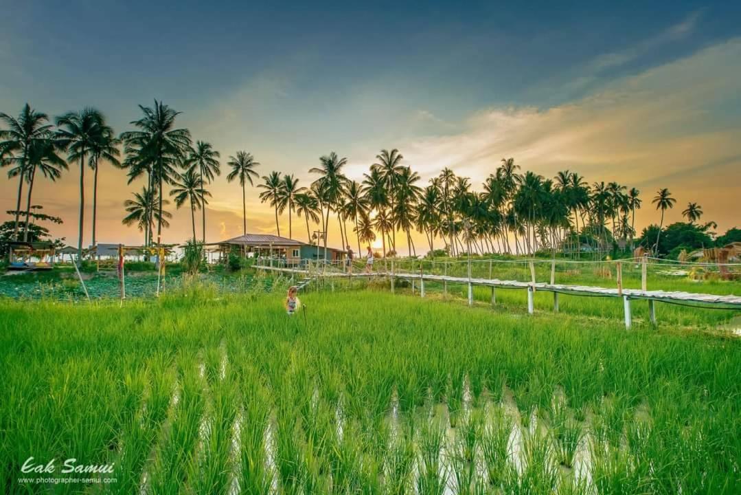 I - Talay Taling Ngam Samui - เขา ป่า นา เล ตลิ่งงาม สมุย Hotel Exterior photo