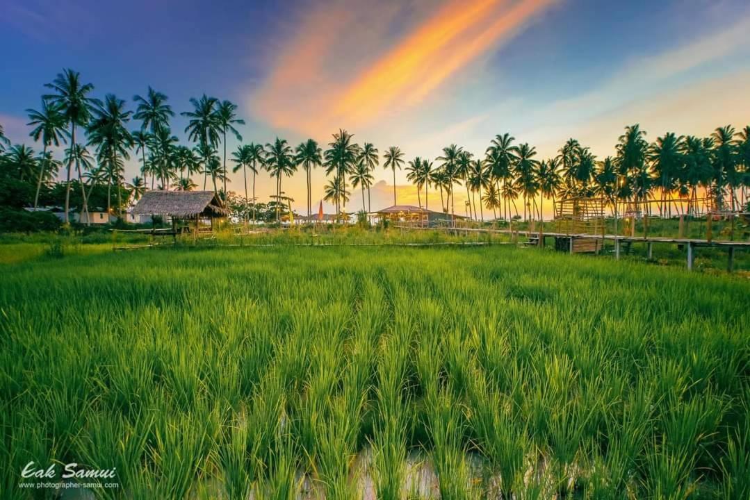 I - Talay Taling Ngam Samui - เขา ป่า นา เล ตลิ่งงาม สมุย Hotel Exterior photo